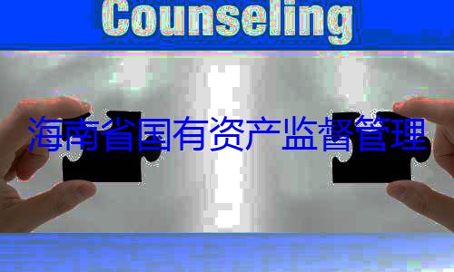 资产监督管理委员会党查调查委副书记王有福接受审海南省国有